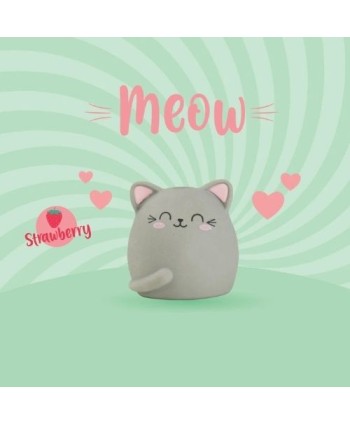 Gomma Profumata Legami Meow...